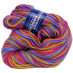Multicolored skein of cotton fantasy naturale yarn with a label on a white background