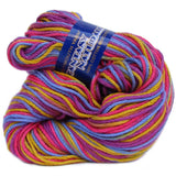 Multicolored skein of cotton fantasy naturale yarn with a label on a white background