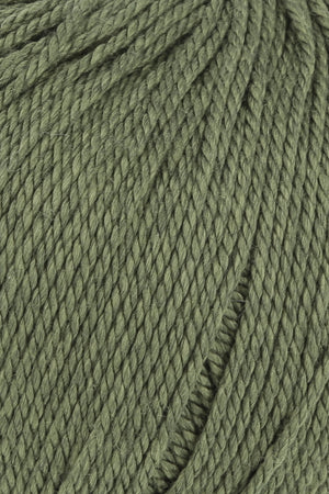 98 Dark Olive