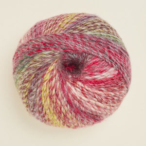 208 Sea Anemone