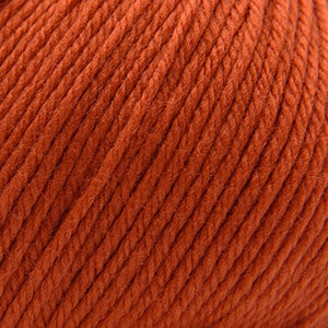 366 Pureed Pumpkin