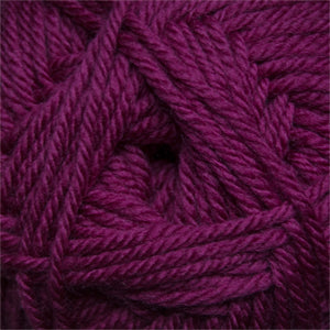 22 Raspberry