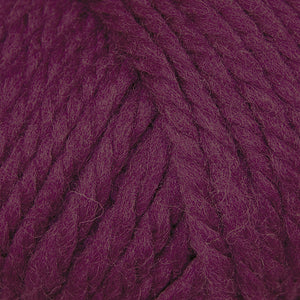 25 Wildberry
