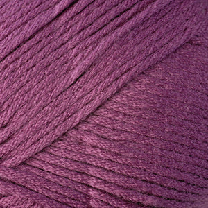 9717 Raspberry Coulis