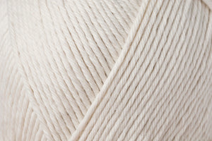 466 Seashell