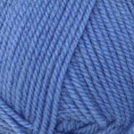 471 Blue Hydrangea