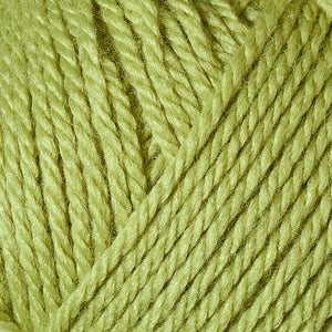 10024 New Leaf