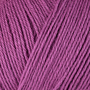 12014 Aurora