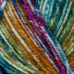Encore Worsted Colorspun
