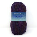 Encore Worsted Colorspun