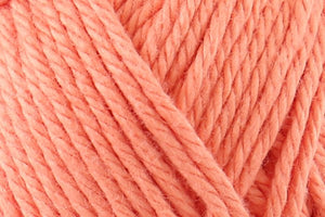 793 Sorbet