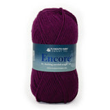 Encore Worsted