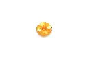BU1605P15 Plastic Gold Metallic Iridescent Flower - 15MM 2H