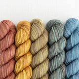 Party of Five Tough Love Sock | Mini-Skein Set