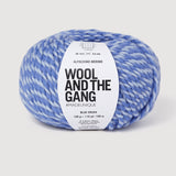 Alpachino Merino Twist