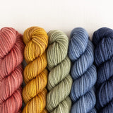 Party of Five Superwash DK | Mini-Skein Set