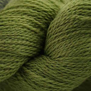 1027 Turtle Green