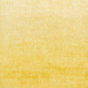 34212 Dandelion