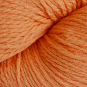 8444 Butternut Squash