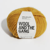 Crazy Sexy Wool