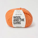 Crazy Sexy Wool