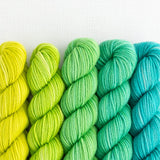 Party of Five Tough Love Sock | Mini-Skein Set