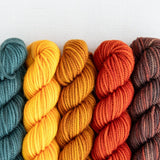 Party of Five Superwash DK | Mini-Skein Set