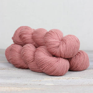 Wild Rose