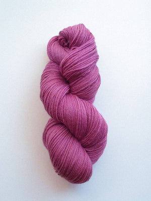 2637 Wild Orchid