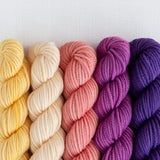 Party of Five Merino DK | Mini-Skein Set