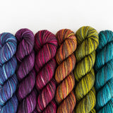 Hexa Hue/ Tough Love Sock
