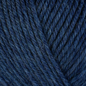 33138 Delphinium
