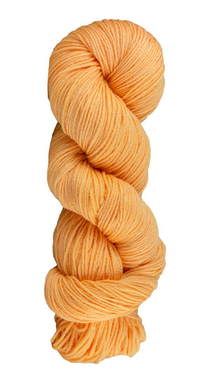 Cantaloupe